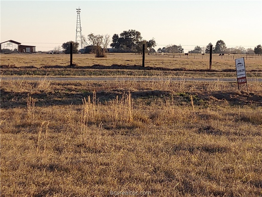 TBD Richard Frey, Waller, TX 77484 - photo 1