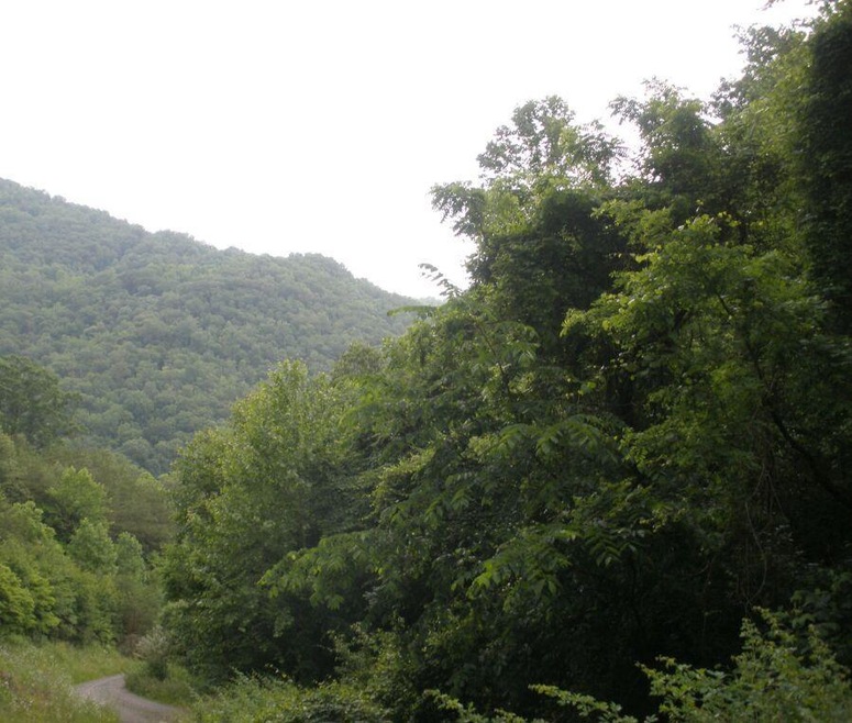 Main View