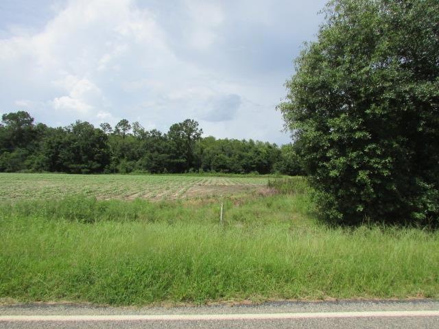 958 Camp Osborn Rd, Oakfield, GA 31772 - photo 1