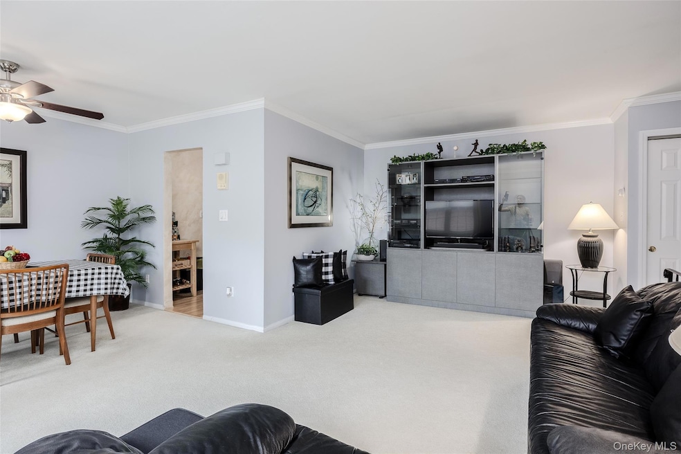 Sold $299,000 • Co-Listing Agent