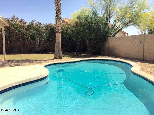 Longhorn-pool-new9