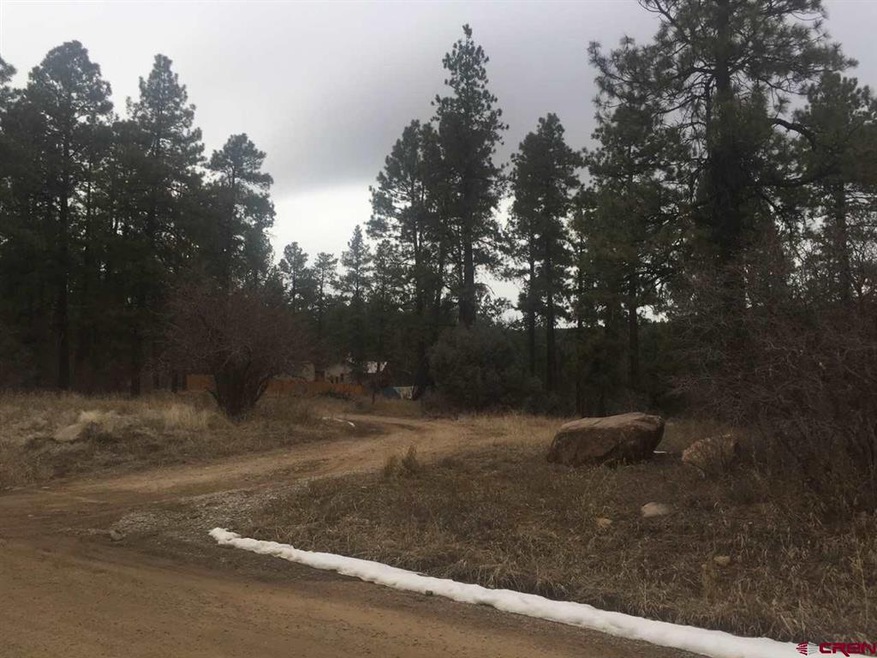 395 Sortais Rd, Durango, CO 81301 - photo 1
