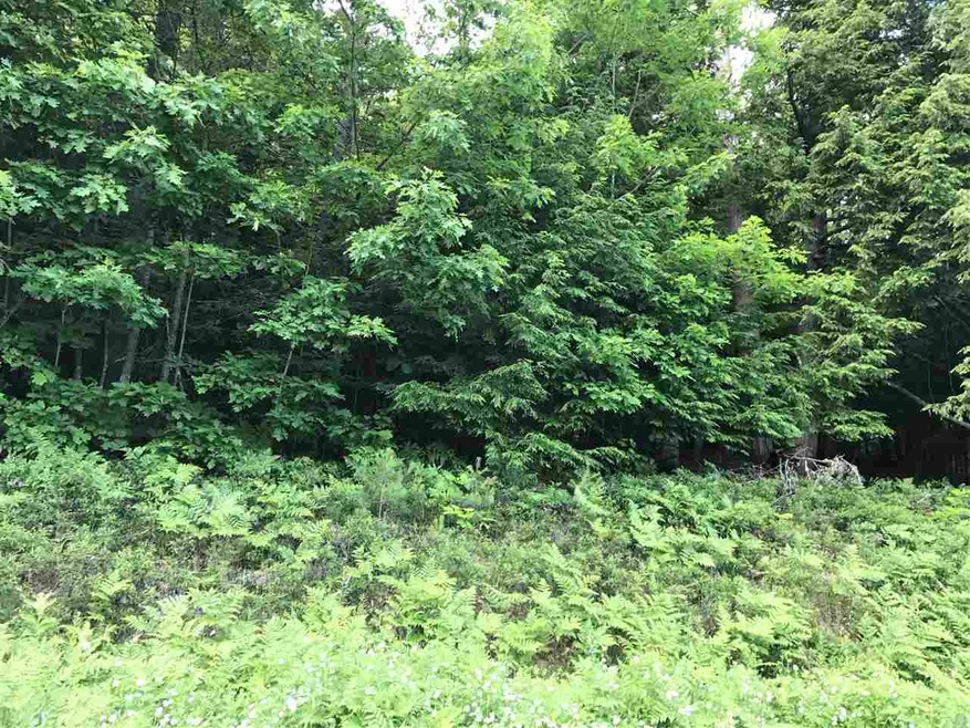 0 Perch Pond Rd unit 4612646, Lisbon, NH 03585 - photo 1