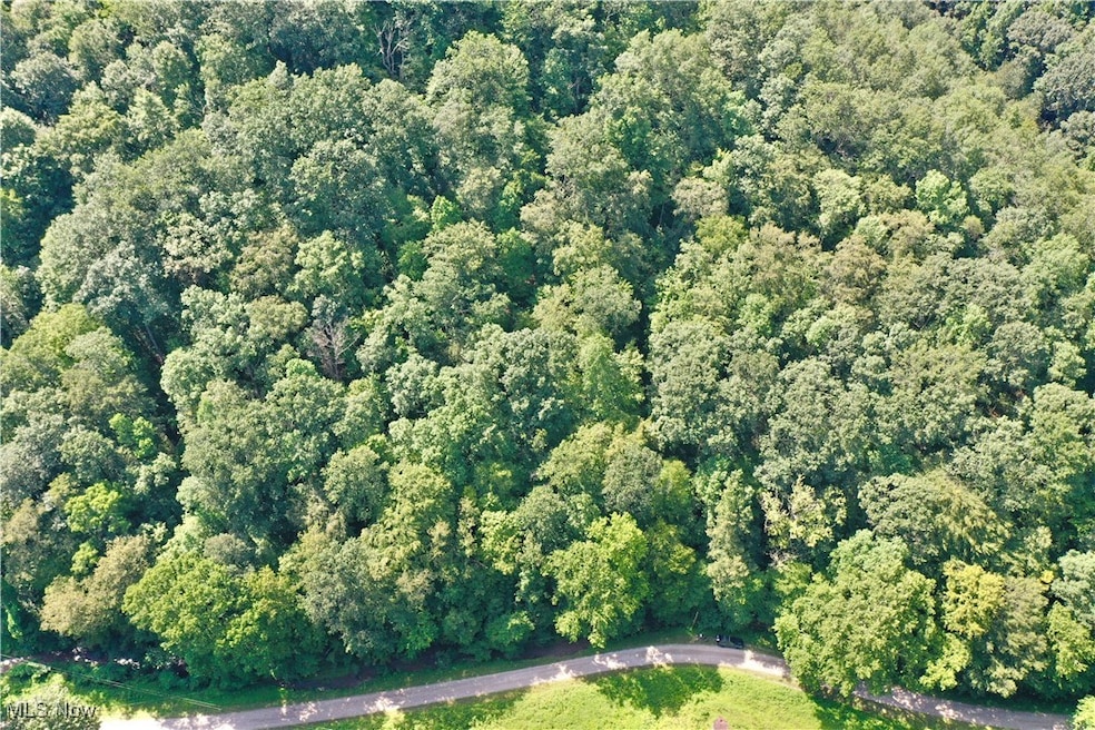 0002 Broomstick Rd, Big Bend, WV 26136 - photo 1