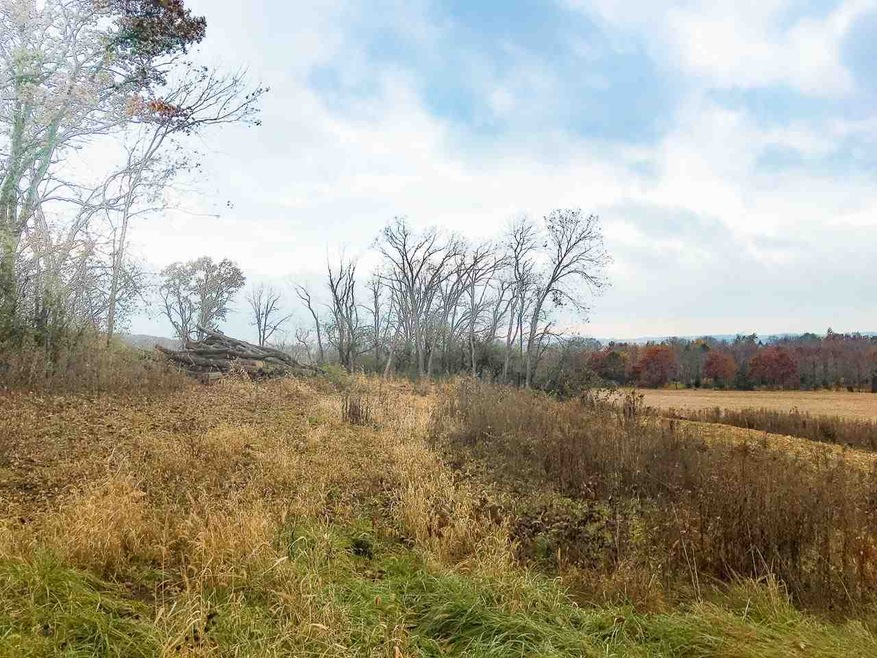 L1 Mineral Point Rd, Cross Plains, WI 53528 - photo 1