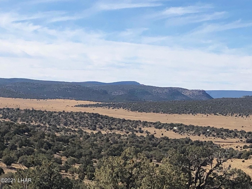 121.5 Greenview Ranch, Seligman, AZ 86337 - photo 1