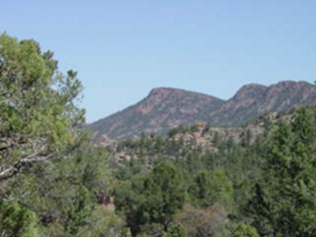 1203 E Phoenix St, Payson, AZ 85541 - photo 1