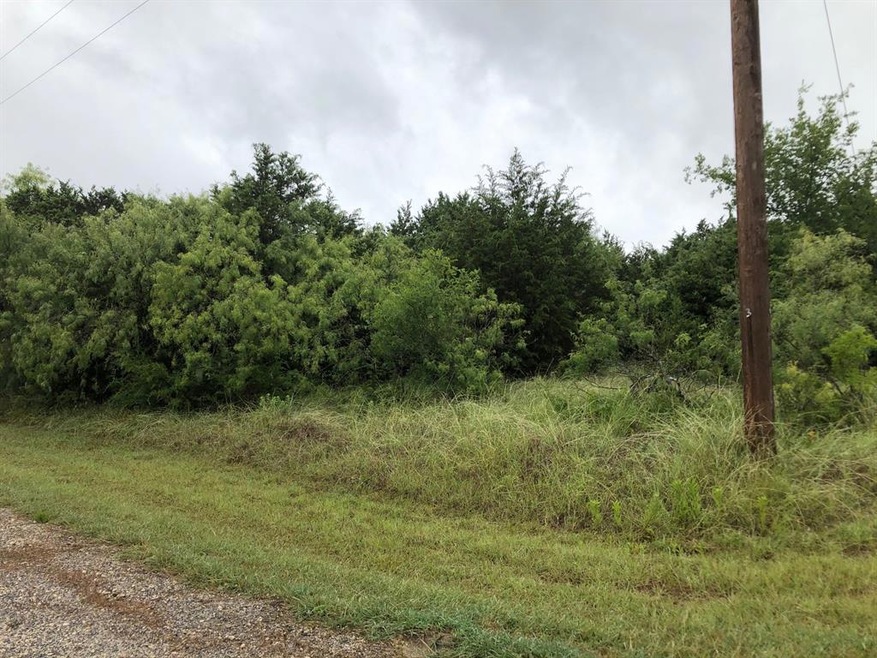 30010 Woodcrest Dr, Whitney, TX 76692 - photo 1