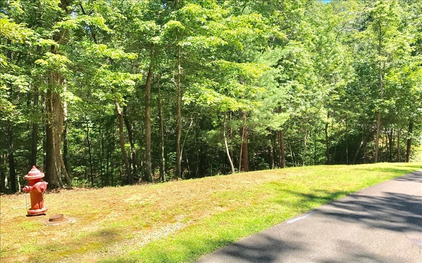 LT56R N Harris Creek Dr, Ellijay, GA 30540 - photo 1