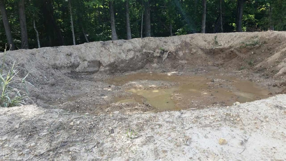 0 Greene Road 745, Paragould, AR 72450 - photo 1