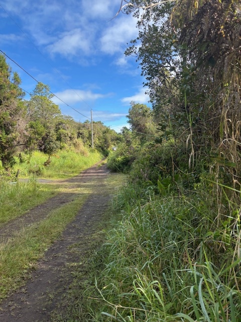 0 Waikiki St unit 726086, Mountain View, HI 96771 - photo 1