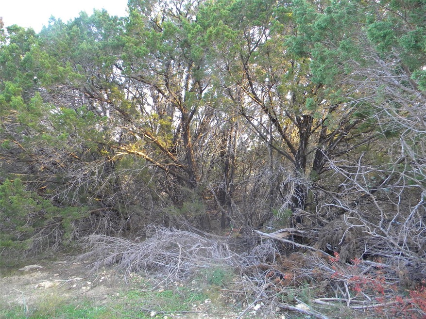 2315 Creekview Dr, Granbury, TX 76048 - photo 1