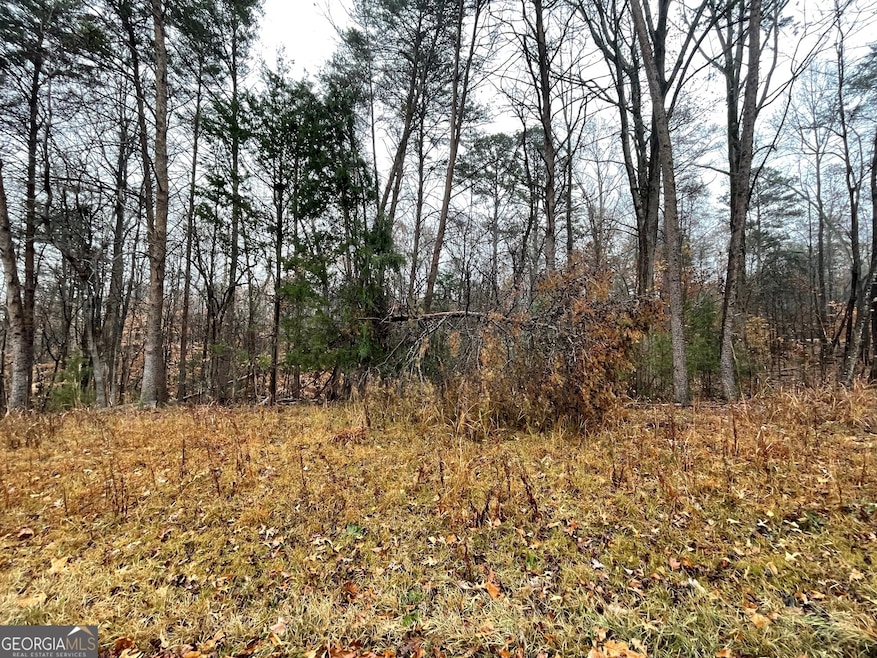 0 Nicklaus Rd unit LOT 851, Westminster, SC 29693 - photo 1