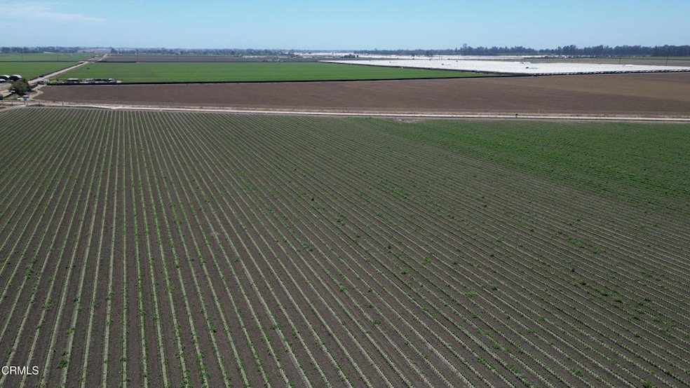 For Sale $16,995,000