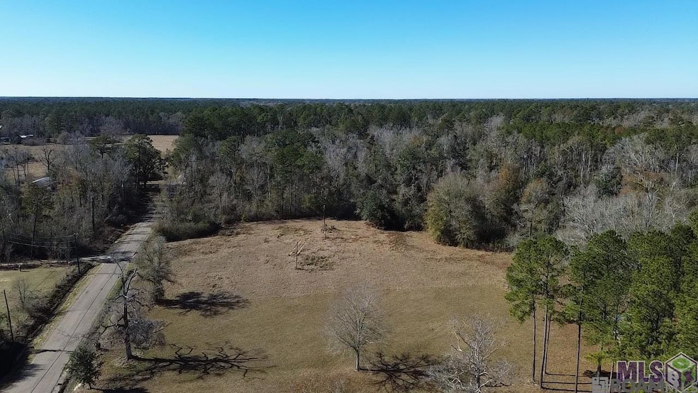 28519 Horseshoe Rd, Independence, LA 70443 - photo 1