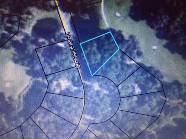 Lot 819 Bridge Island Dr, Shellman Bluff, GA 31331 - photo 1