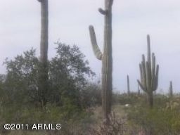 Land Photo