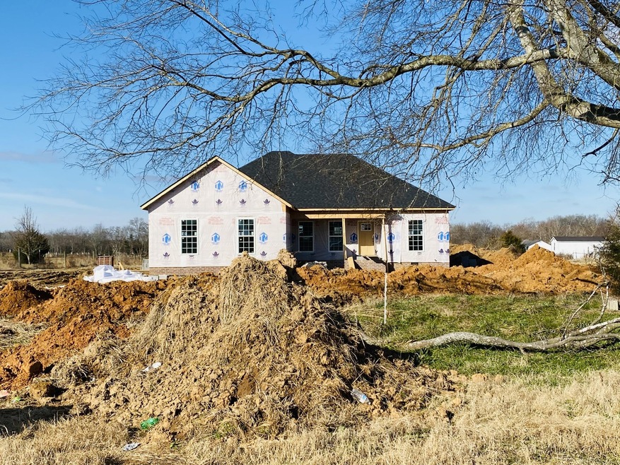 275 David Williams Rd, Bell Buckle, TN 37020 - photo 1