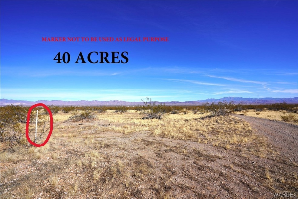 40 ACRES OPPORTUNITY! OWNER FIANAING AVAILABLE!