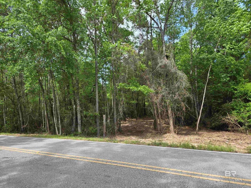 1131 Wolf Log Rd, Flomaton, AL 36441 MLS 347148