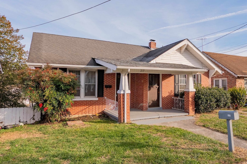 217 Lagrange St, Pulaski, VA 24301 - photo 1