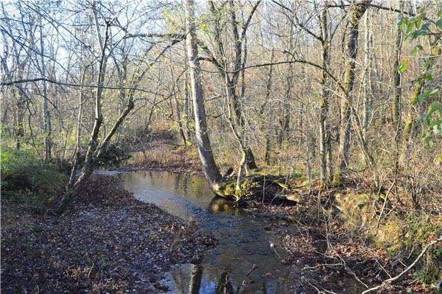 View of spring fed stream that has 900 ft on the property. 