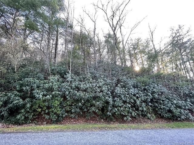 750 Zelda Ct unit 70, Clear Creek, NC 28792 - photo 1