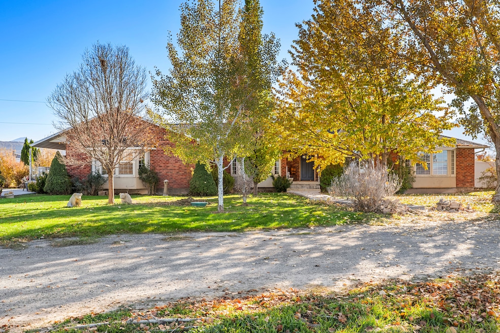Obstructed view of property featuring brick siding and a front lawn