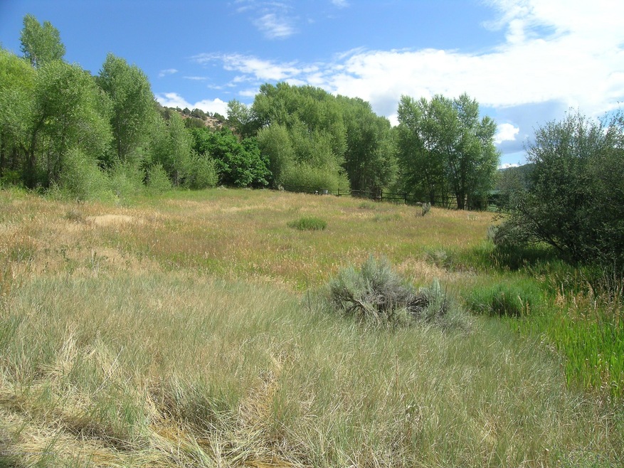 East side of lot