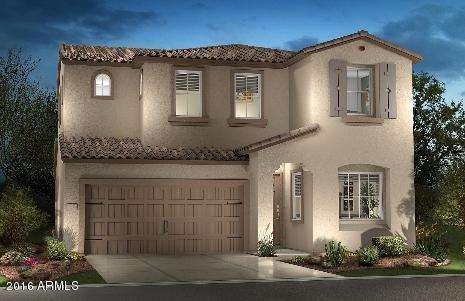 Elevation rendering