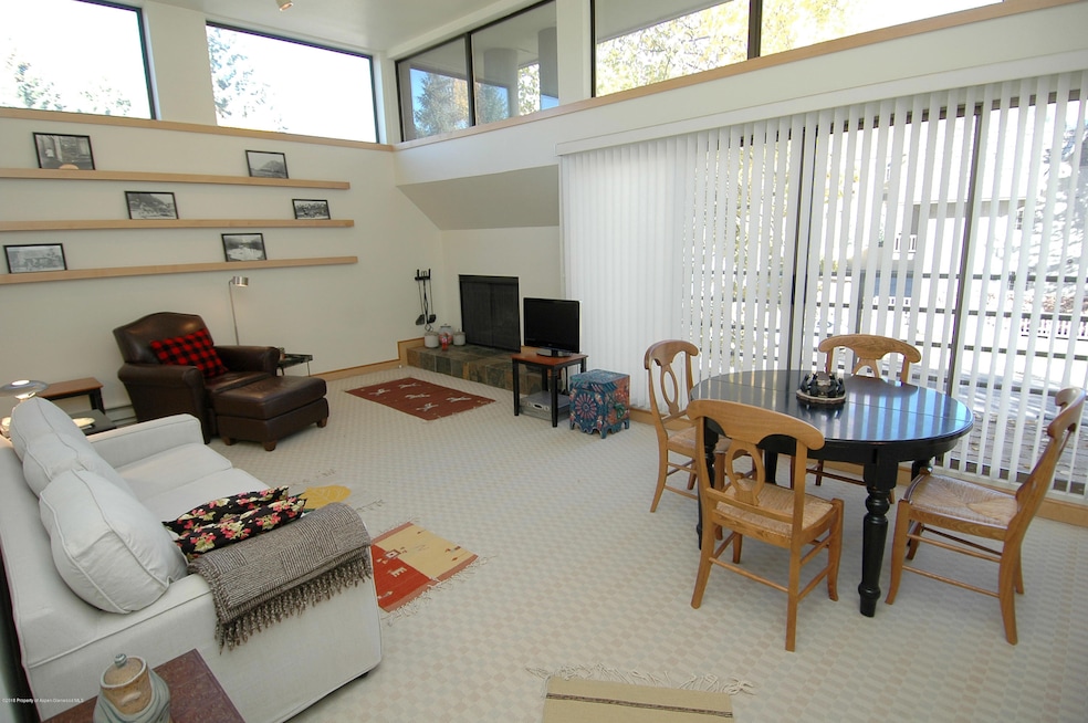 311 S Aspen St unit 6, Aspen, CO 81611 - photo 1