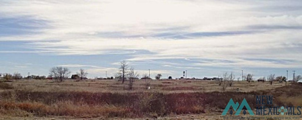 0 S Clayton Ext Tract 5 A 9 217 Acre Tract unit 20256573, Clayton, NM 88415 - photo 1