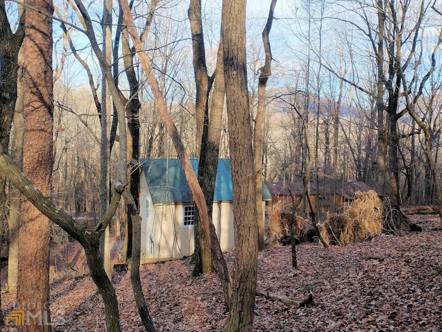 790 Emory Stephens Rd, Murrayville, GA 30564 - photo 1