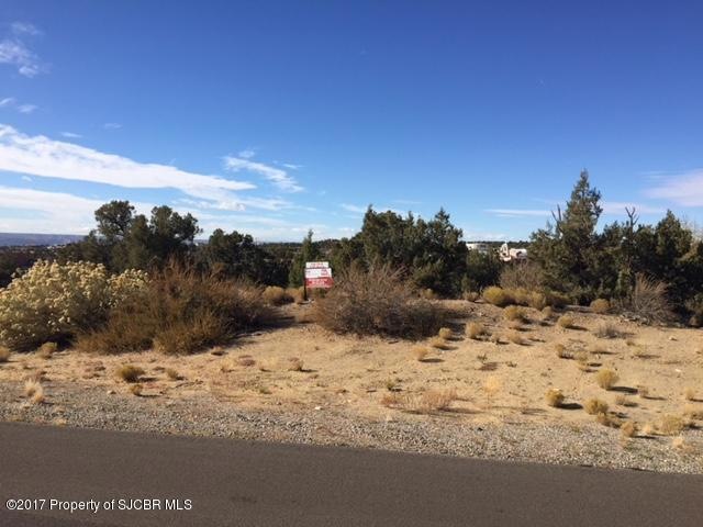 14A Las Brisas Trail, Farmington, NM 87402 - photo 1