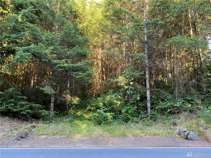 0 Germany Creek Rd unit 1635470, Longview, WA 98632 - photo 1