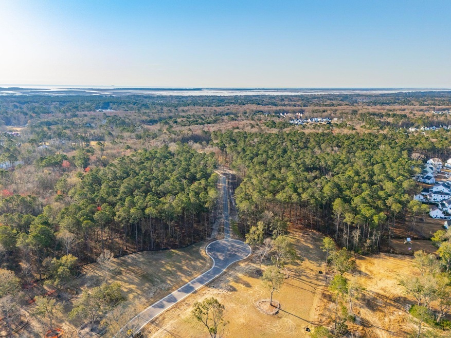 3906 Summerton St, Mount Pleasant, SC 29466 - photo 1