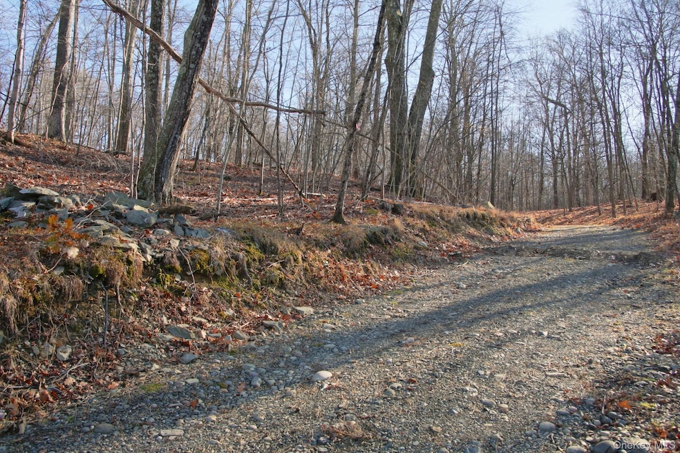 0 Electronics Rd, Clinton Corners, NY 12514 - photo 1