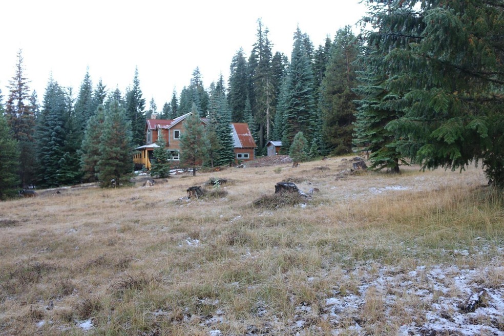 Primary Photo