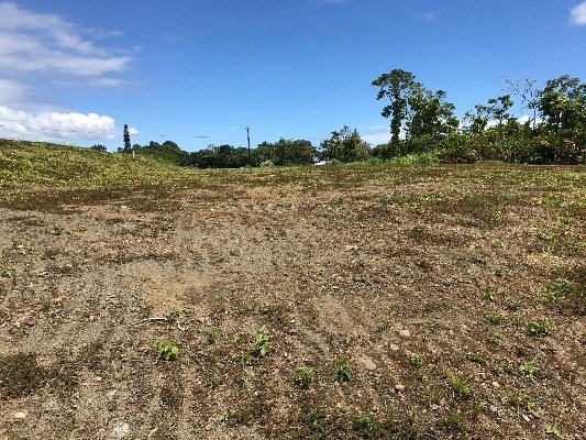 1002 Kahua Kolepa St, Hilo, HI 96720 - photo 1