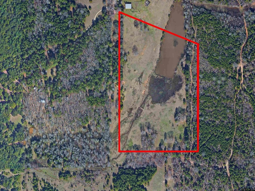 12187 County Road 215, Tyler, TX 75707 - photo 1