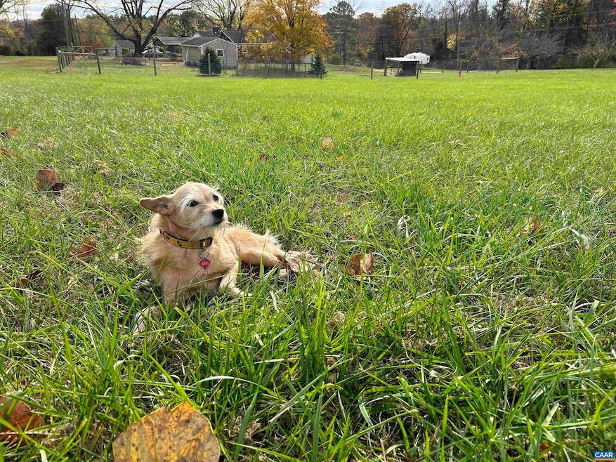 Doggie not included