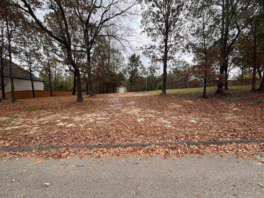 TBD Susan St, Liberty City, TX 75647 - photo 1