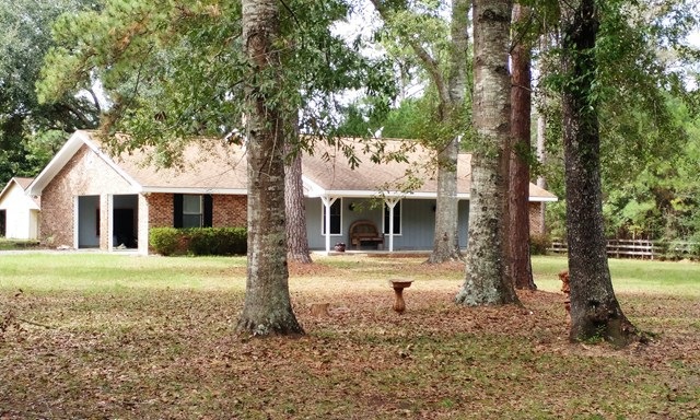 Main View
