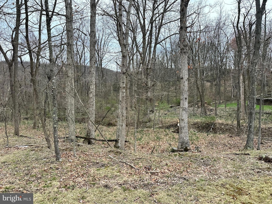 0 Timberlake Estates - Lot 24 unit WVMI2003320, New Creek, WV 26743 - photo 1