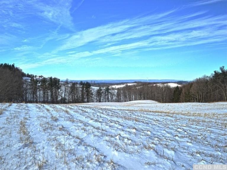 1 Thomas Rd, Old Chatham, NY 12136 - photo 1