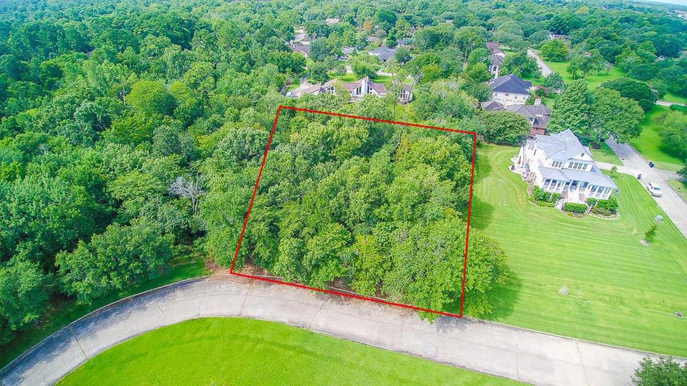 0 Richmond Ln unit 23919693, Friendswood, TX 77546 - photo 1