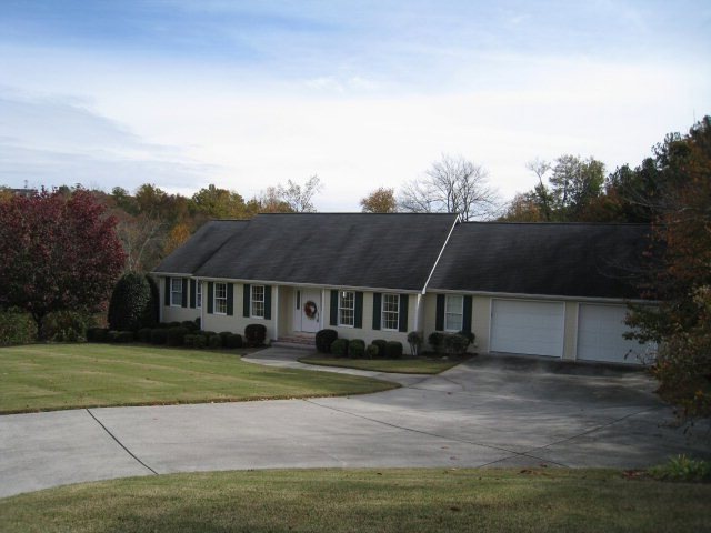 Main View