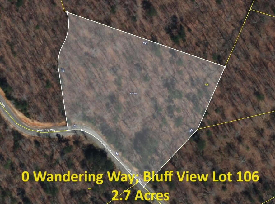 106 Wandering Way, Aerial, insert