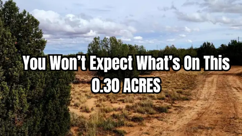 327 Michigan Dr, Hawthorne, FL 32640 - photo 1