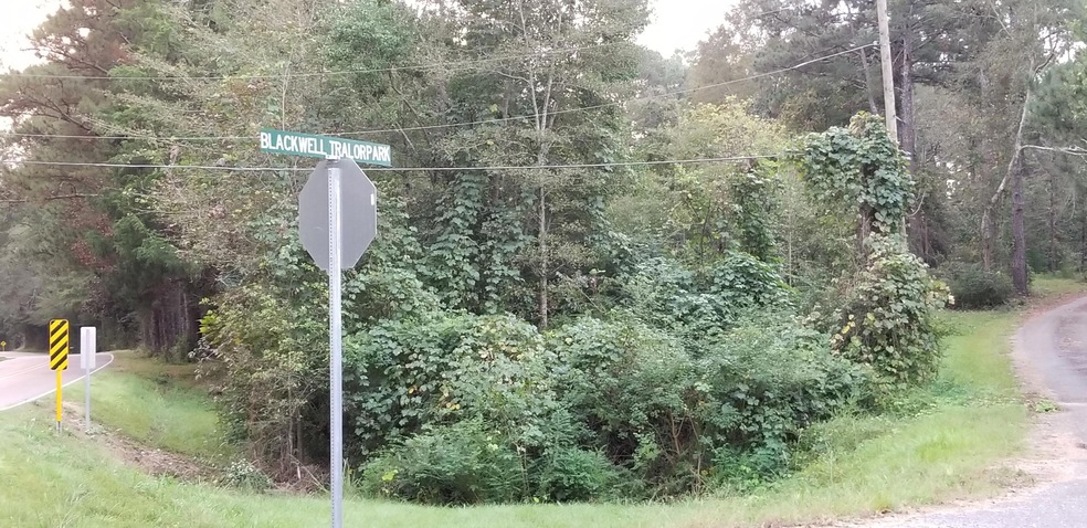 125 Springhill Rd, Laurel, MS 39443 - photo 1